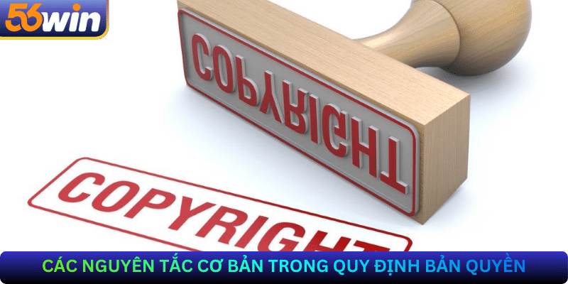 Các Nguyên Tắc Cơ Bản Trong Quy Định Bản Quyền