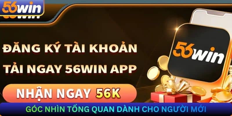 Góc nhìn tổng quan dành cho người mới